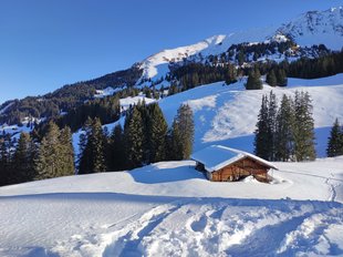 Source: Rahel Mazenauer