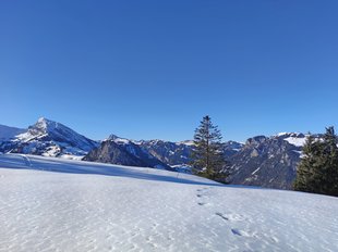 Source: Rahel Mazenauer