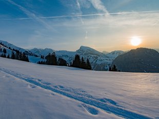 Source: Martin Wymann